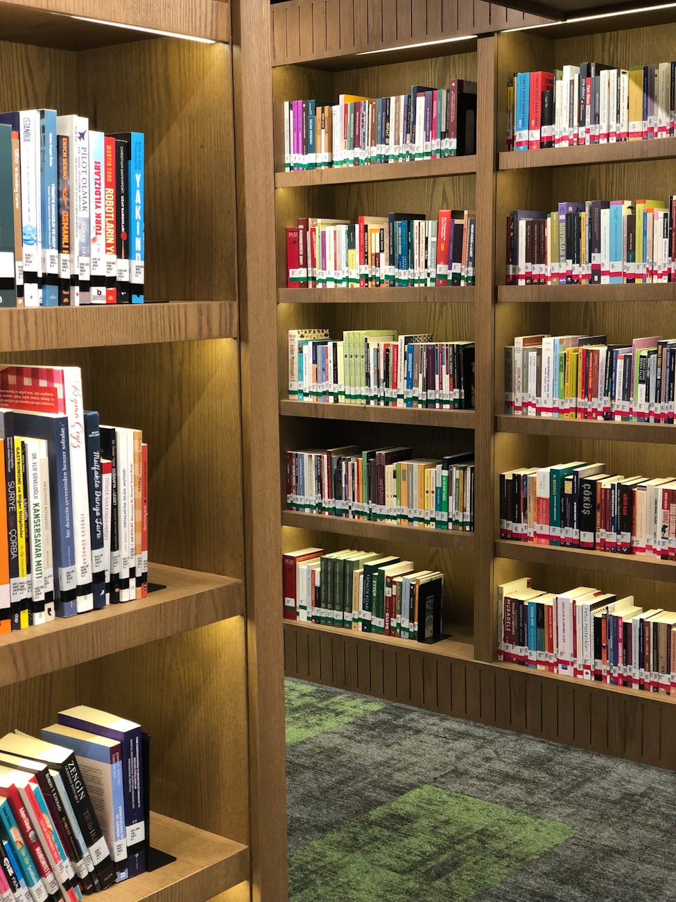 organized library shelves with books