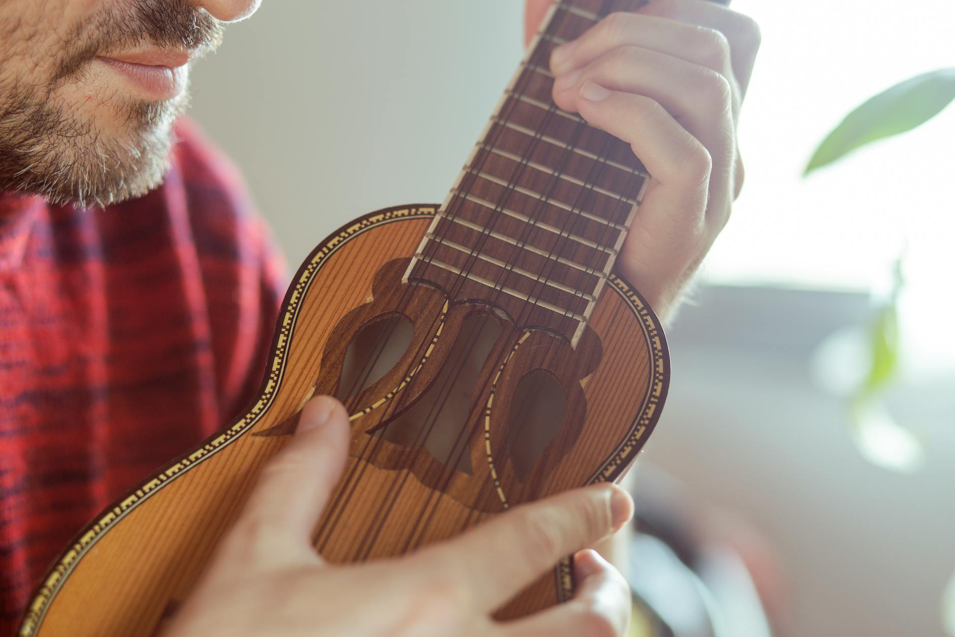 a person holding a charango