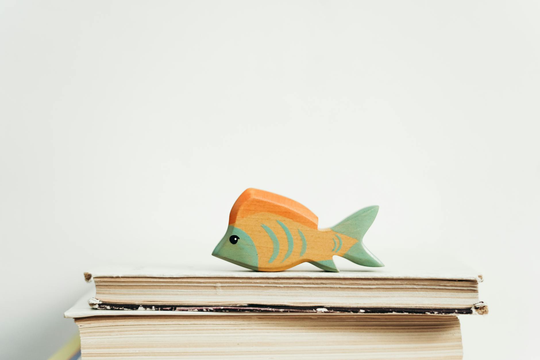 green and orange wooden fish toy