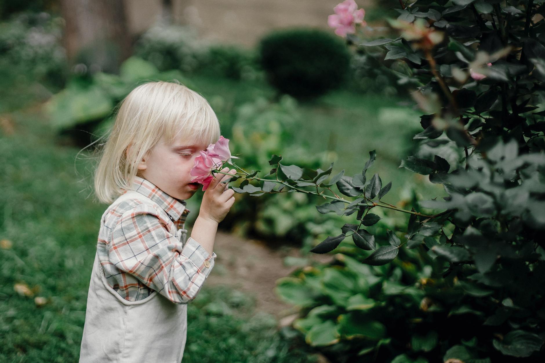 stylish little child smelling flower in garden