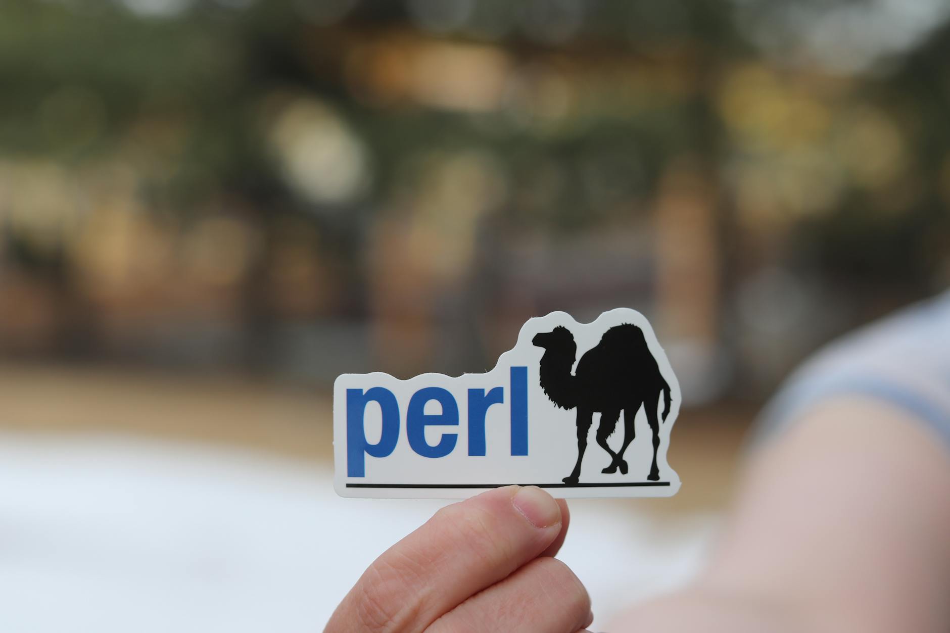 sticker in close up photography