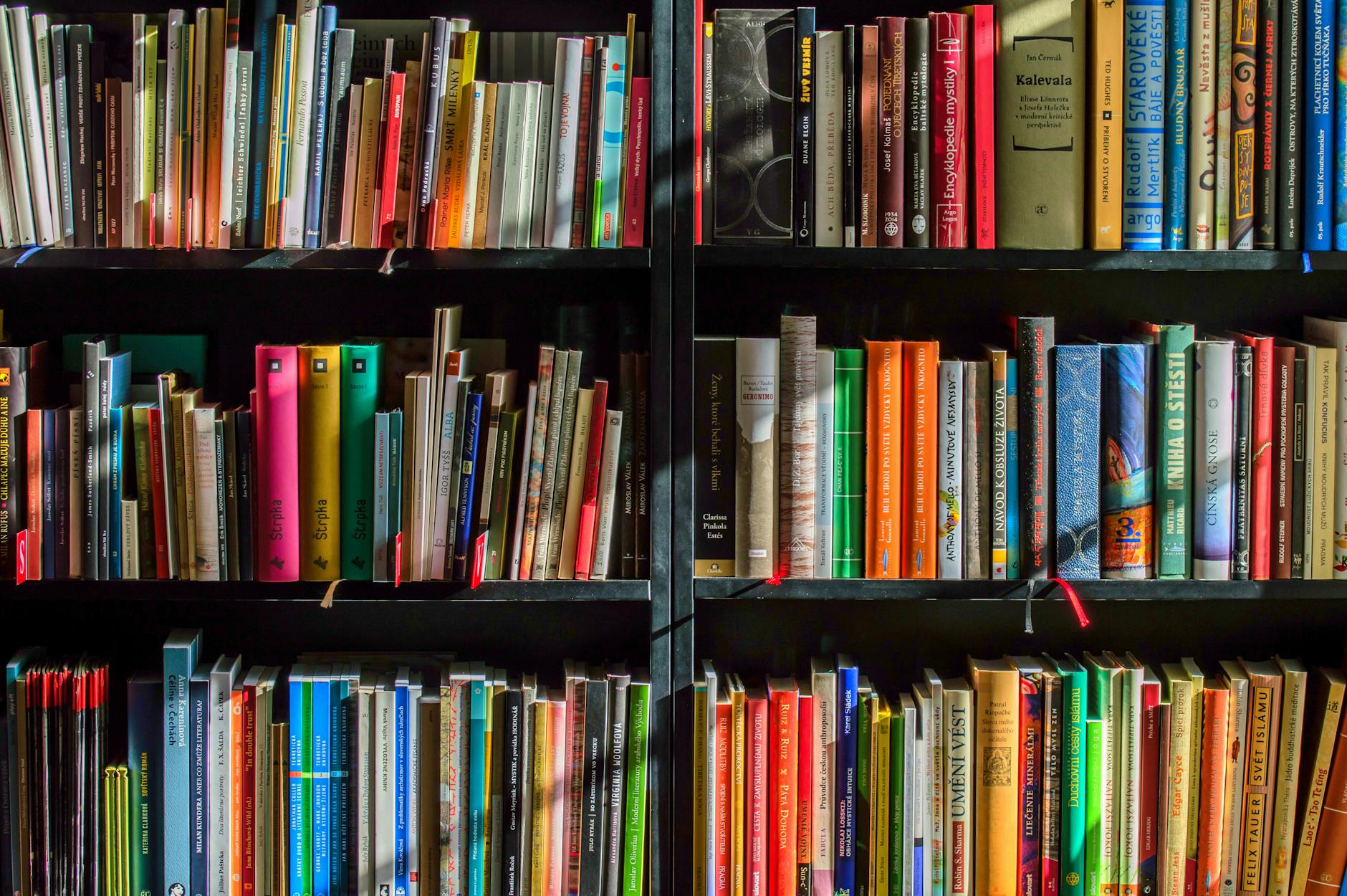 books in black wooden book shelf, Mashup Fiction