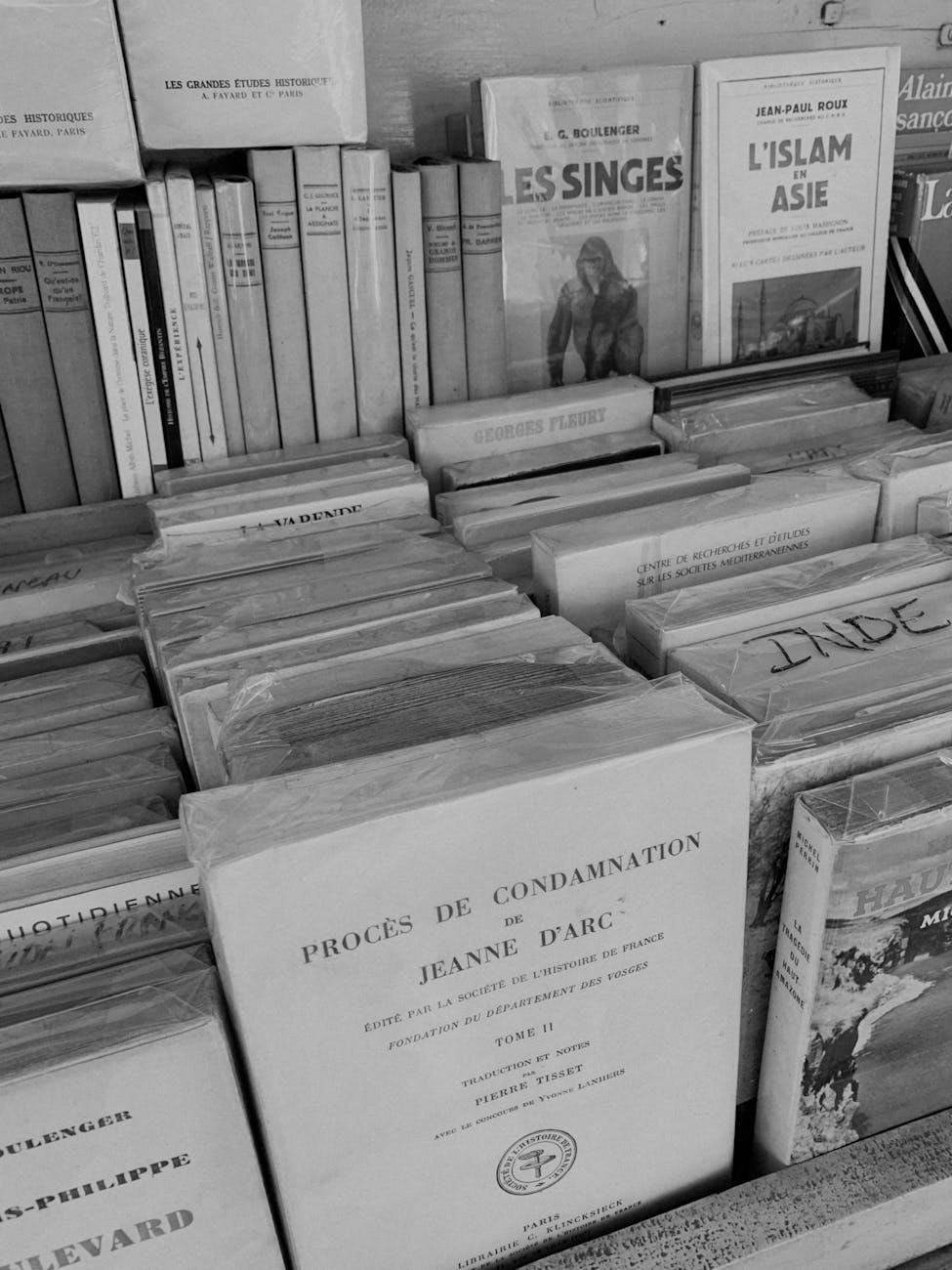 grayscale photo of various books