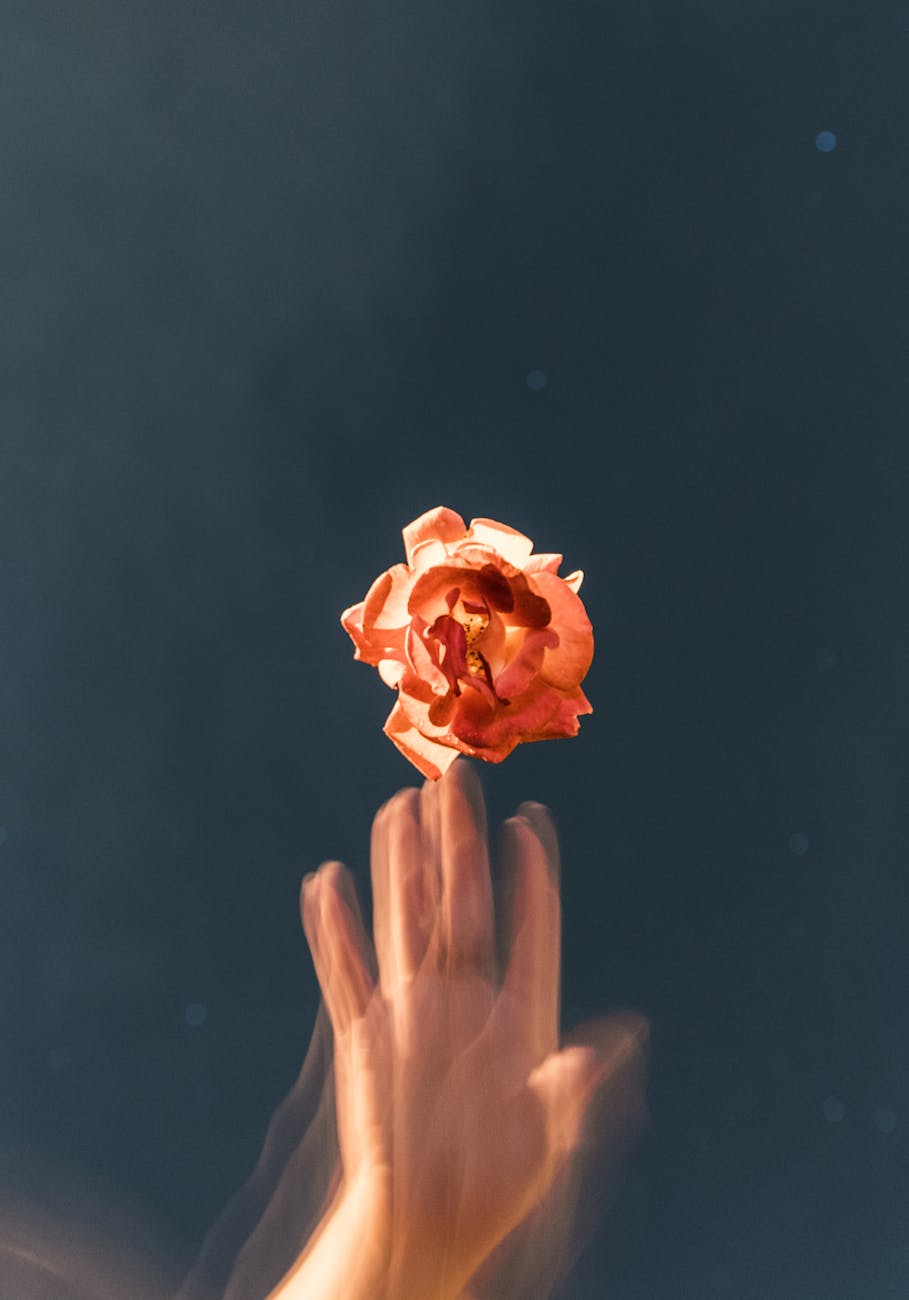 Nature Poetry Books