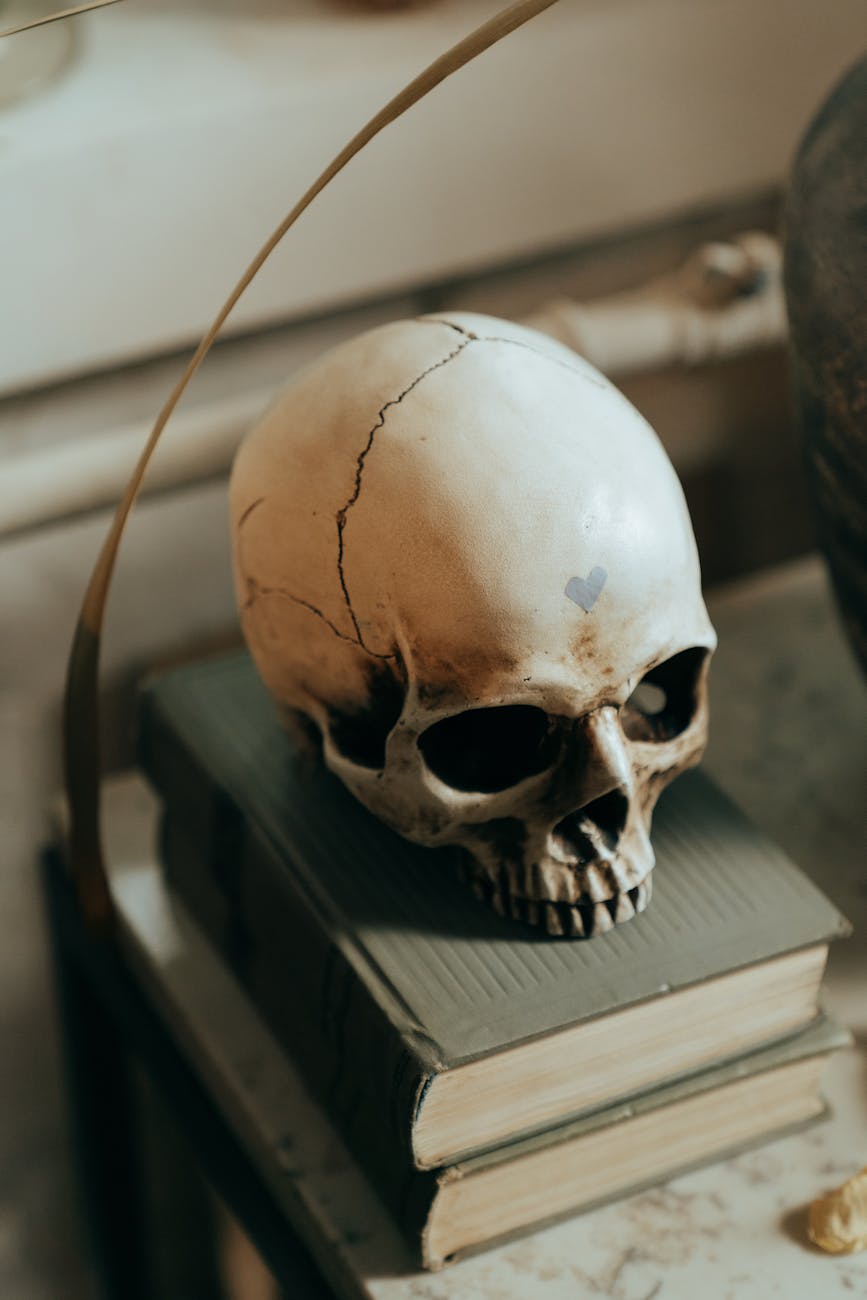 Horror Reference