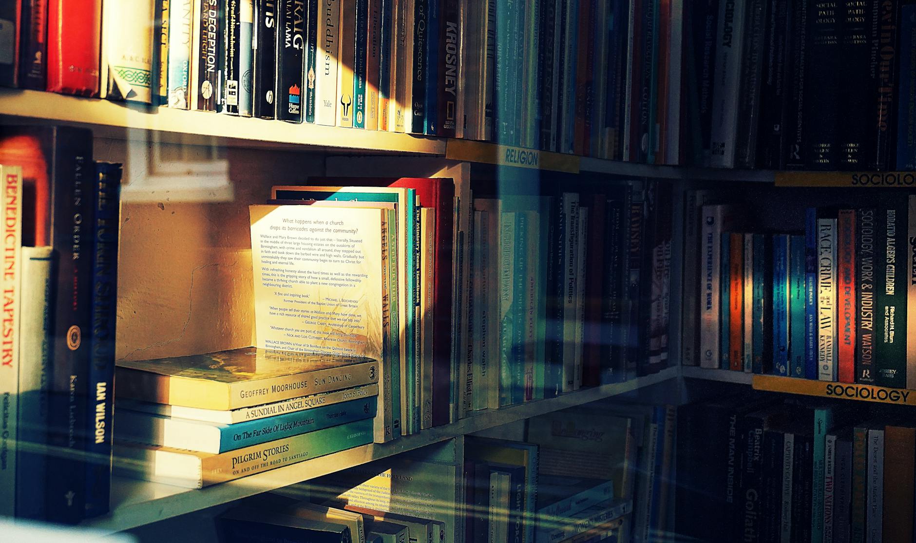 Sociology Books