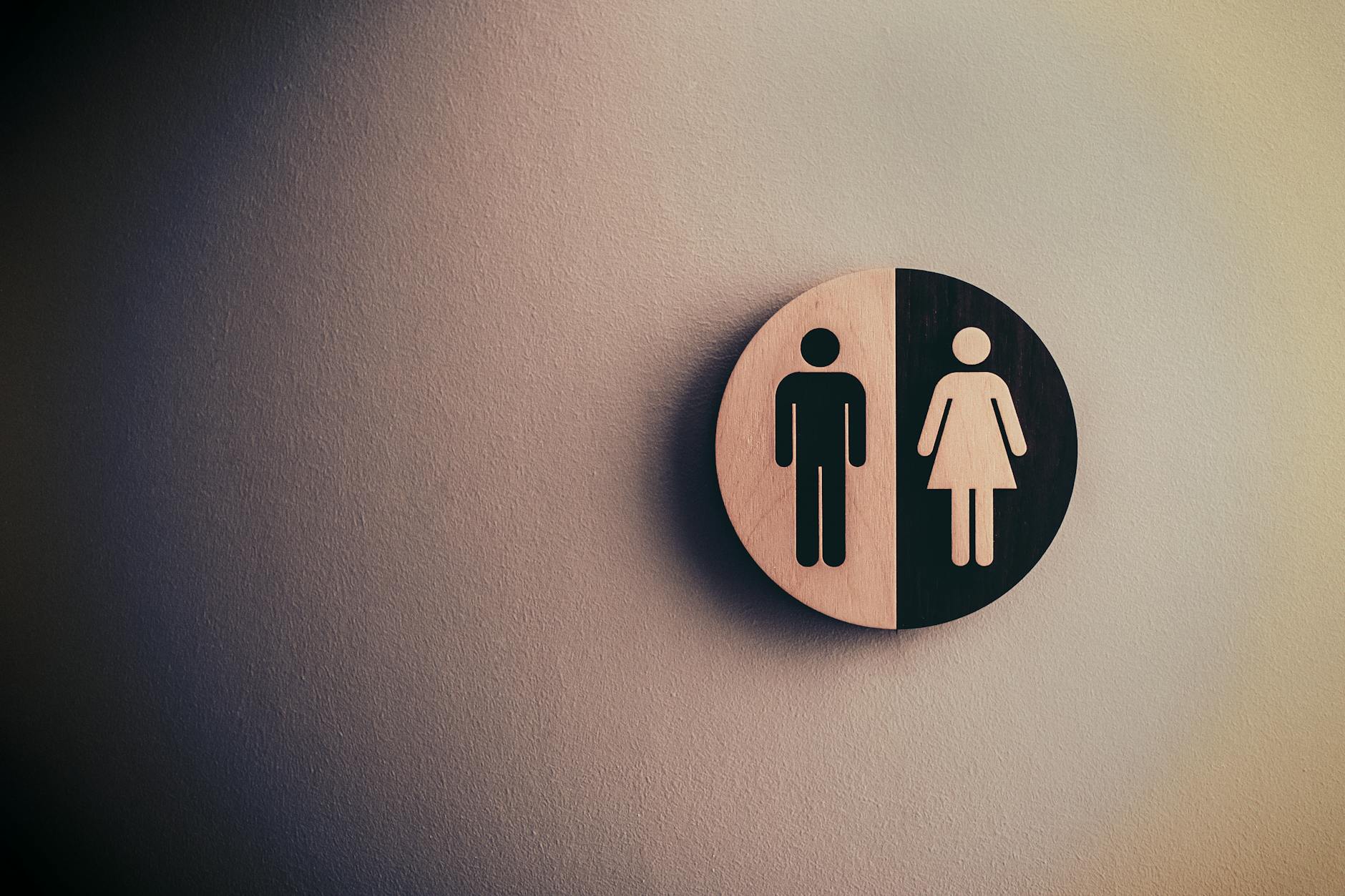 male and female signage on wall, General Gender Studies