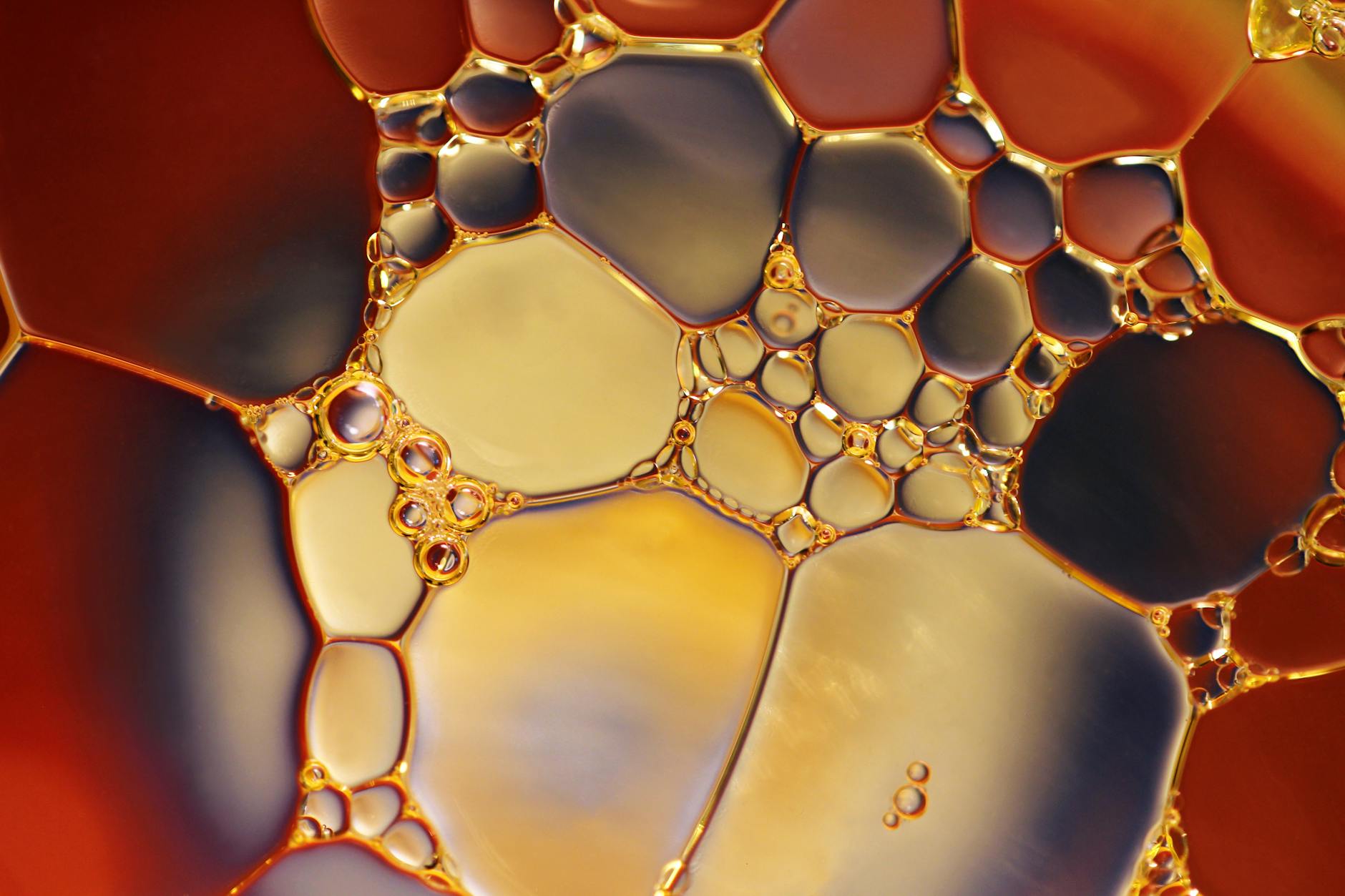 water bubbles, Alkaloids Chemistry