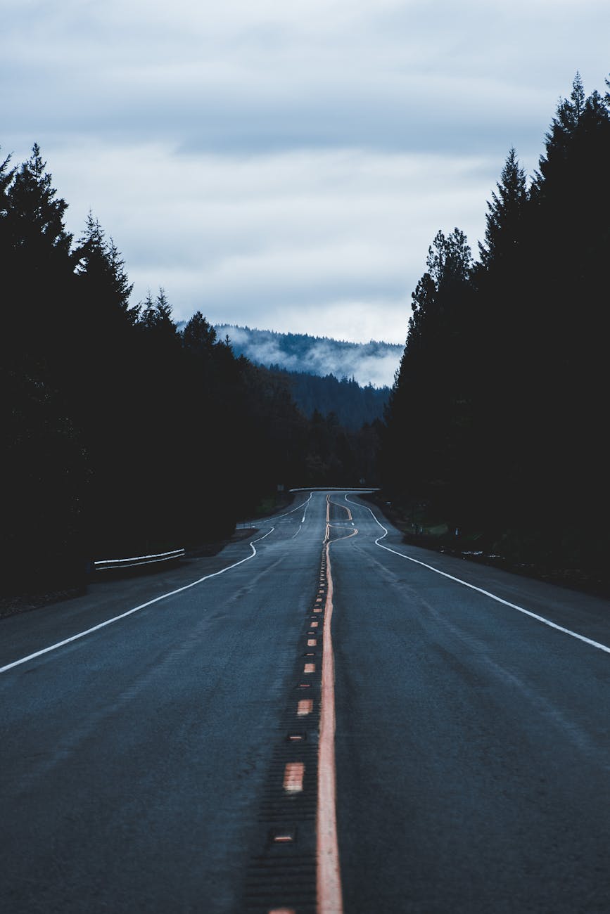 asphalt road pathway scenery, Oregon
