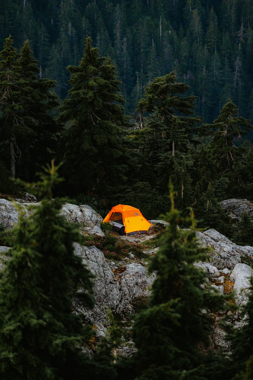 tent on top of a mountain, Hiking and Camping Excursion