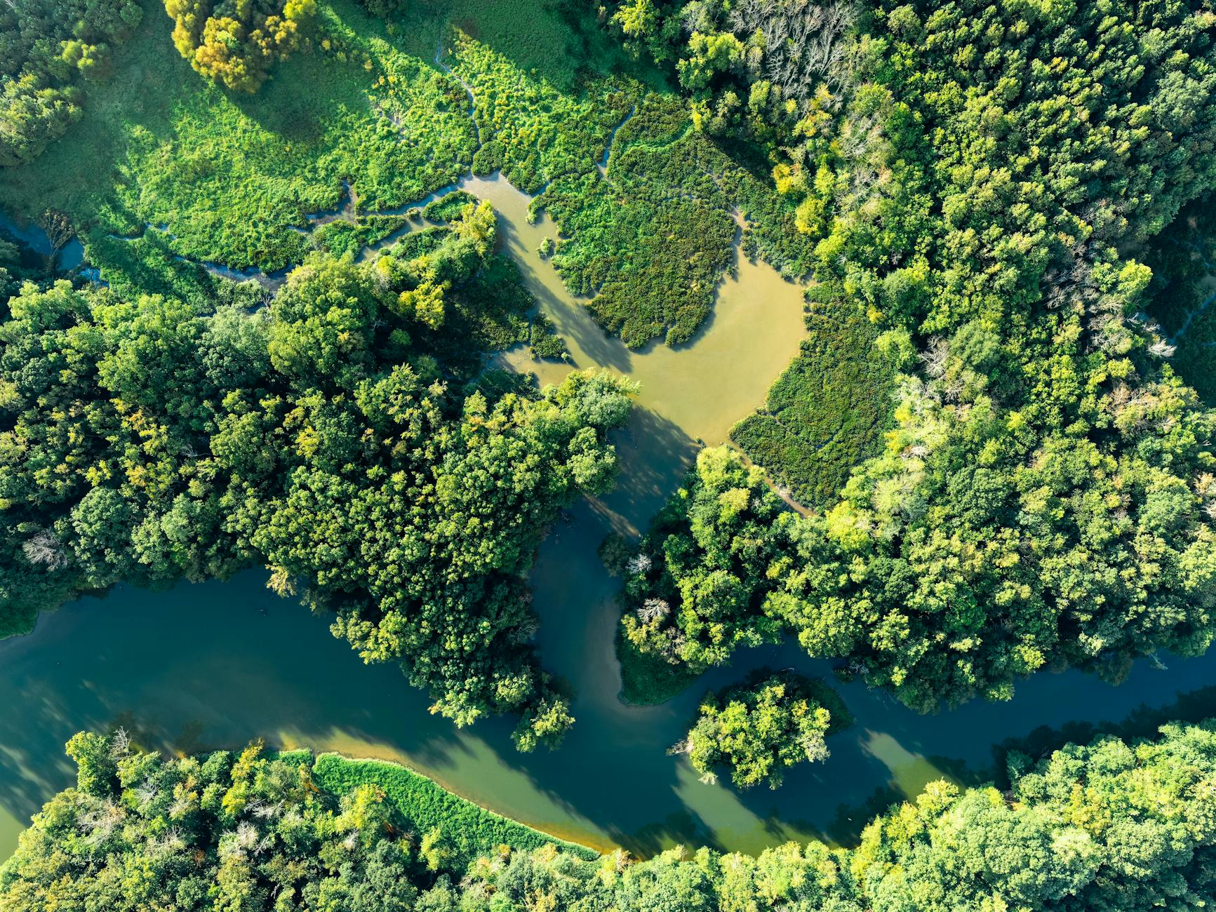 landscape nature water forest in Tennessee