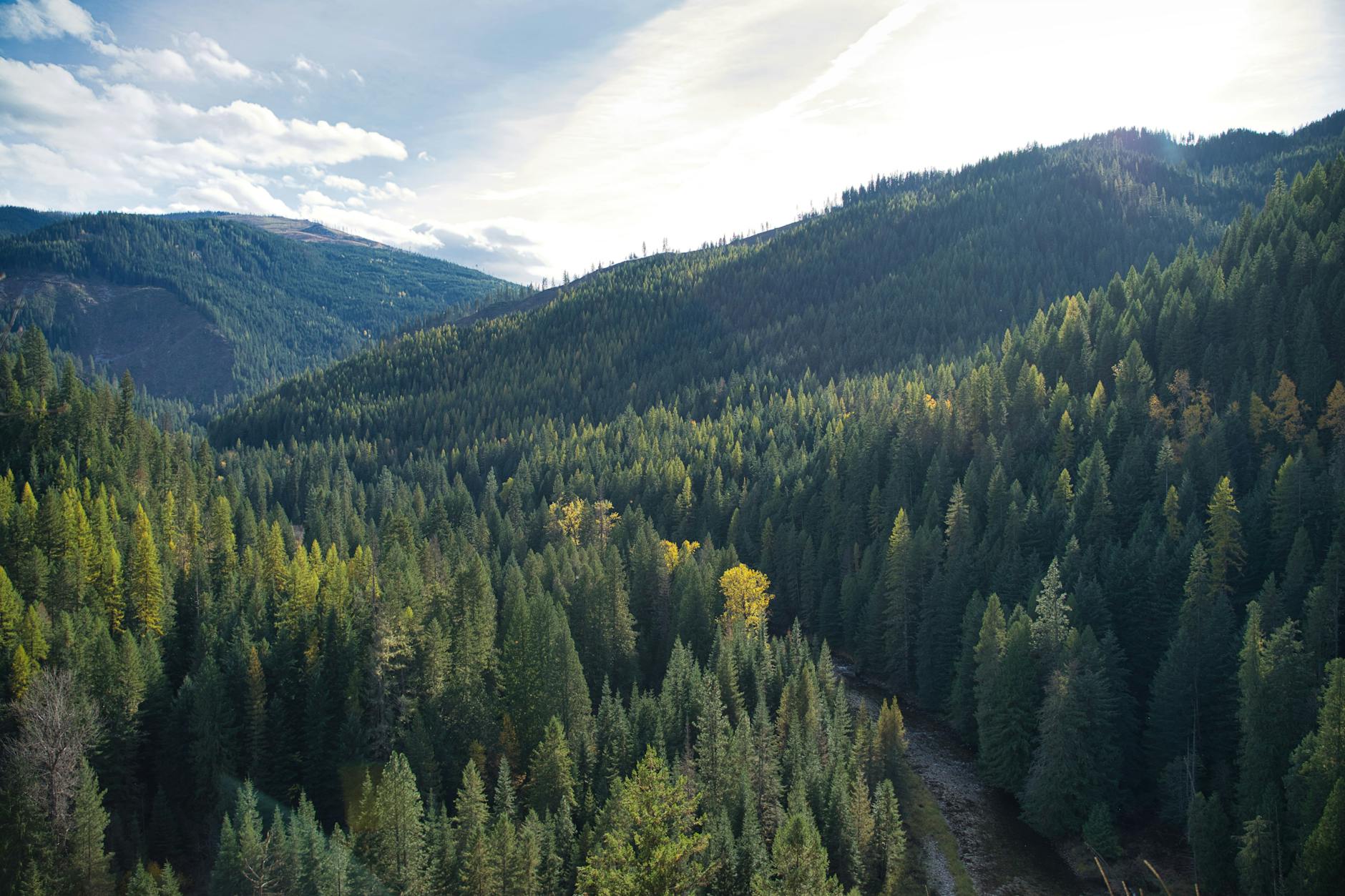 scenic mountain landscape in avery idaho