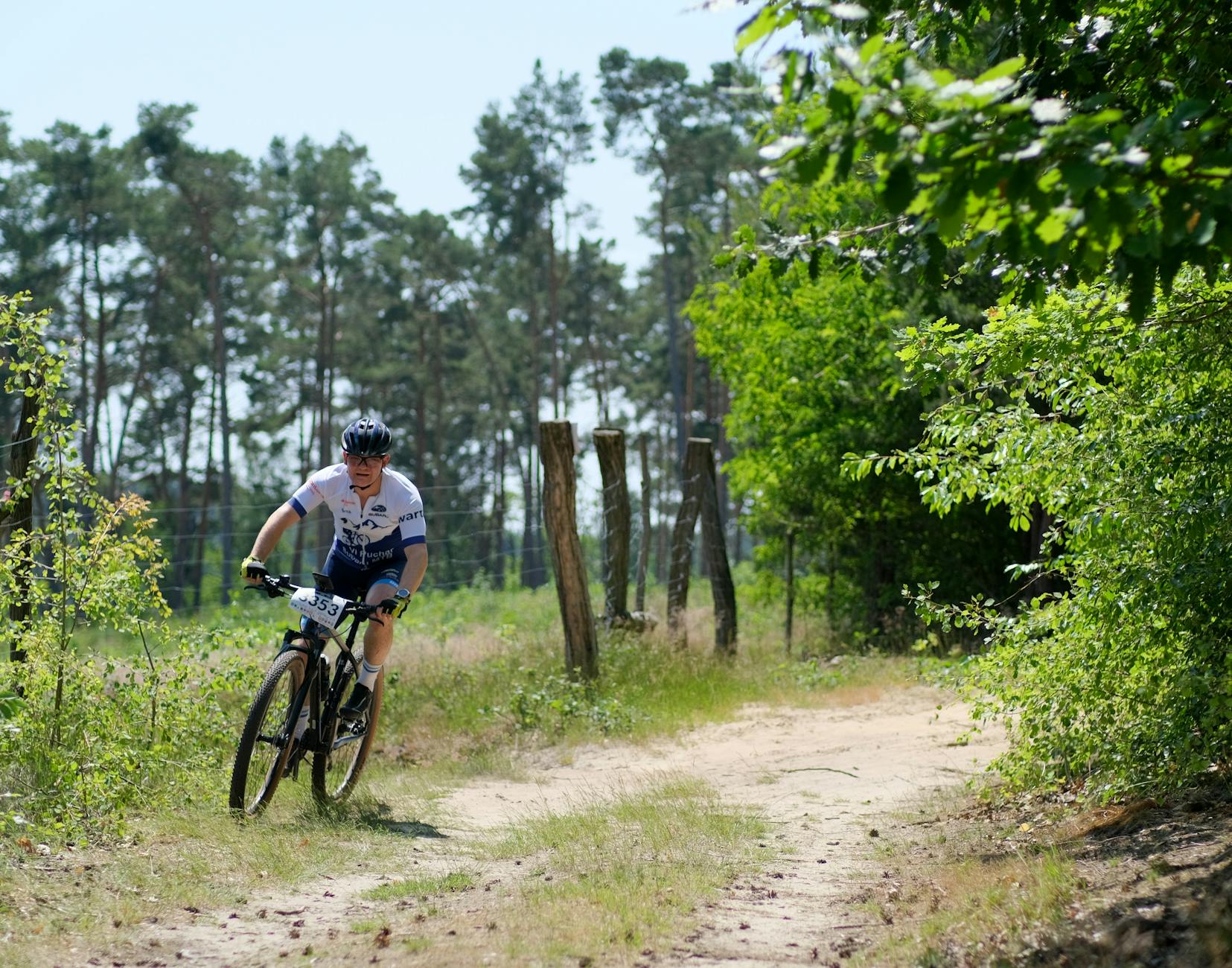 mountain biker on forest trail in summer daylight, Sports and Outdoors