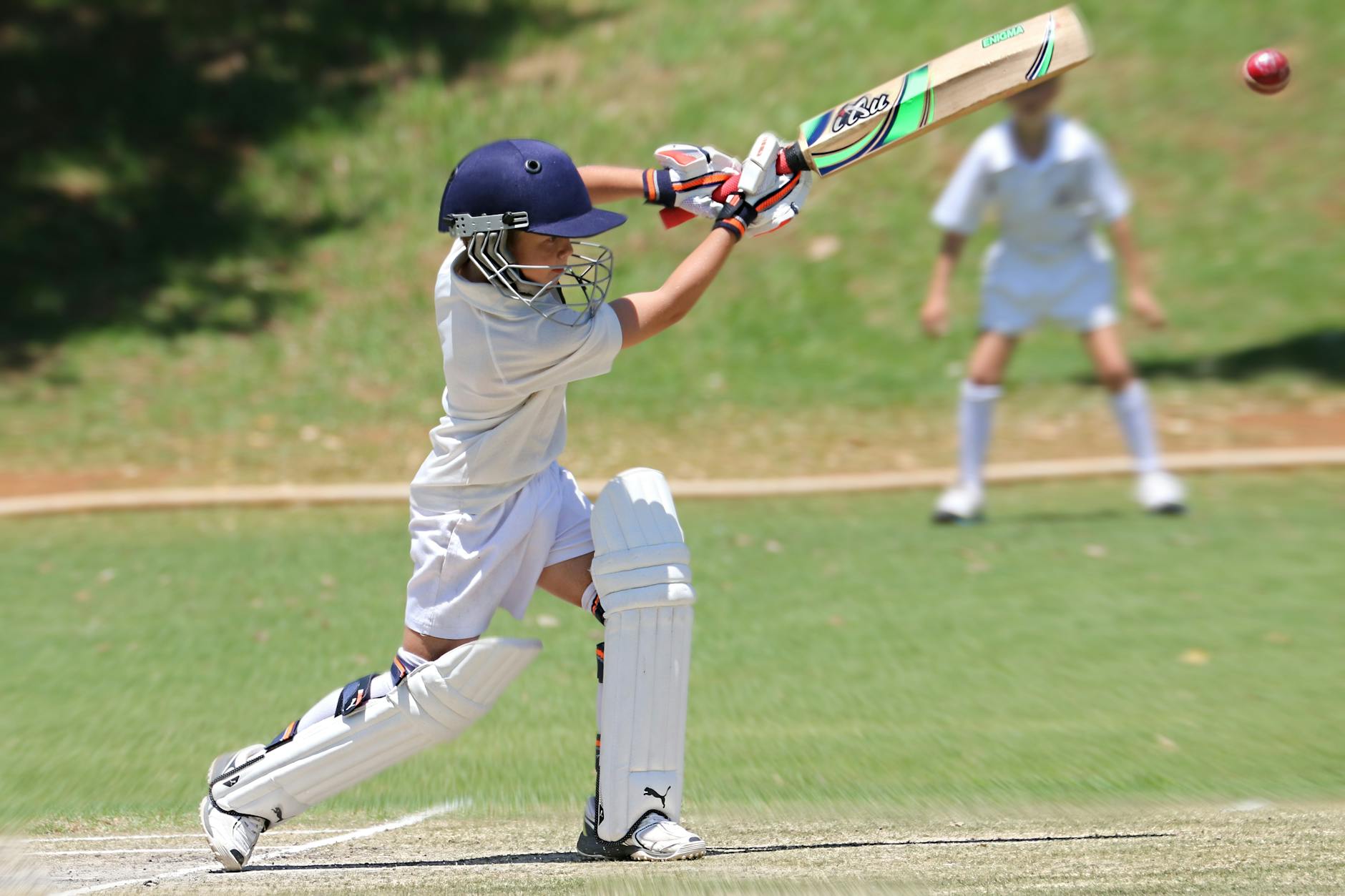 Cricket Books