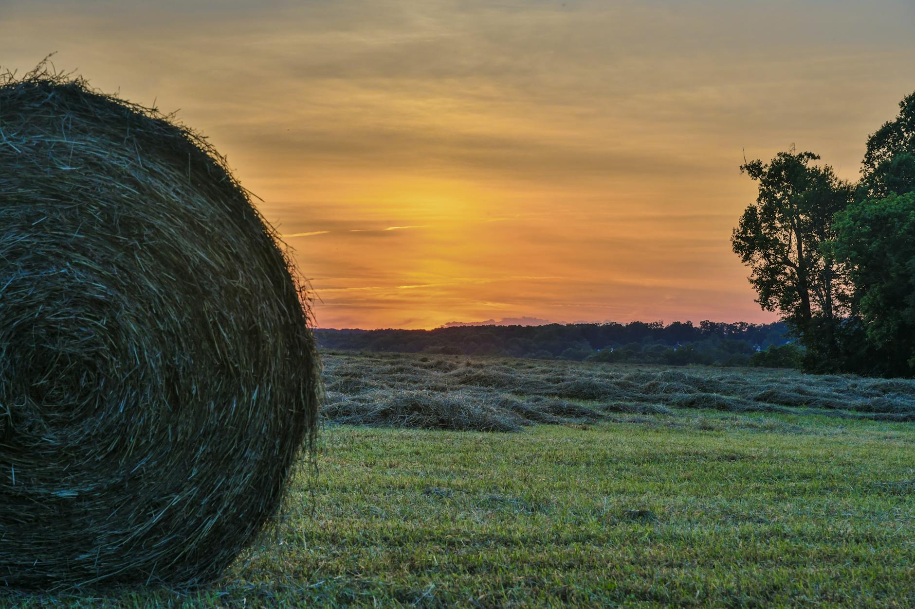 hayfield during sunset, Maryland