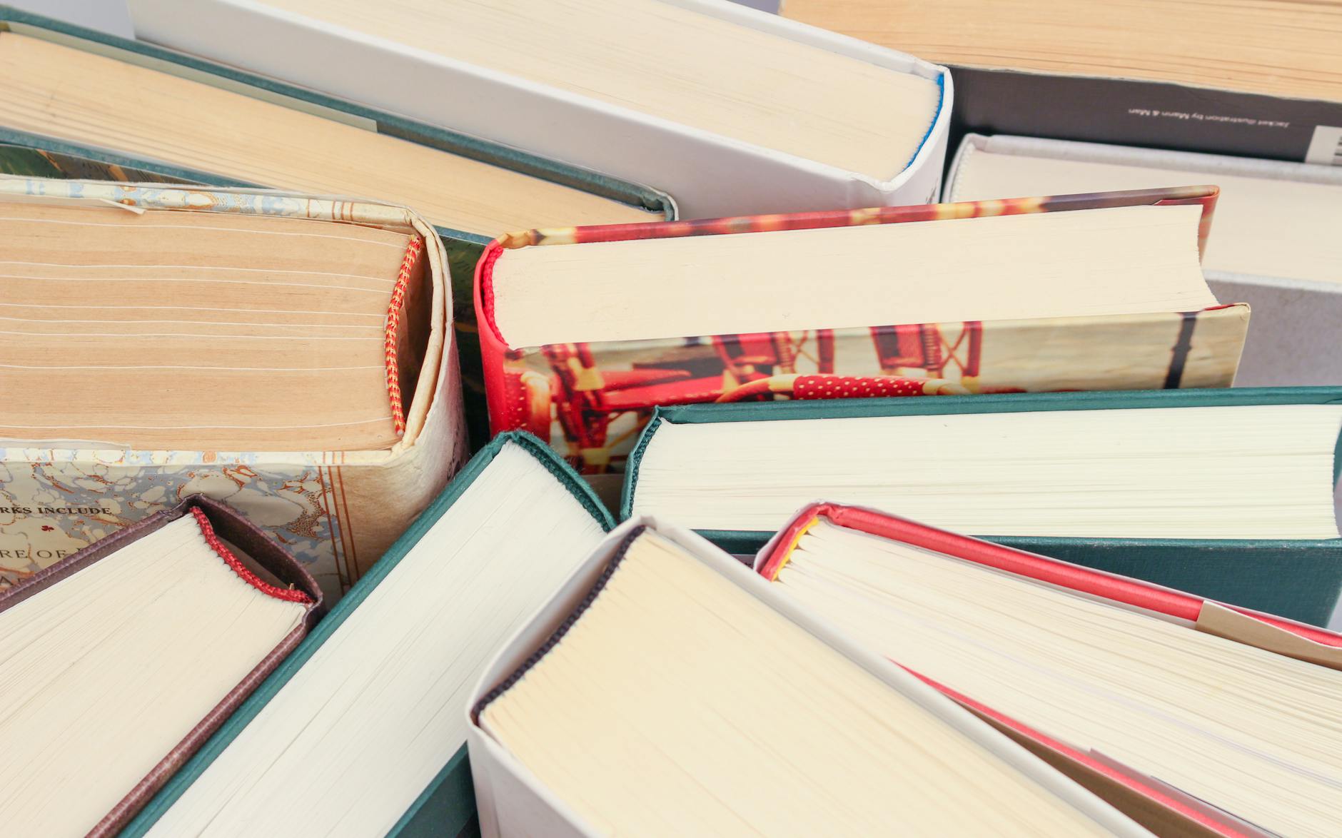 assorted books, Elif Batuman Books