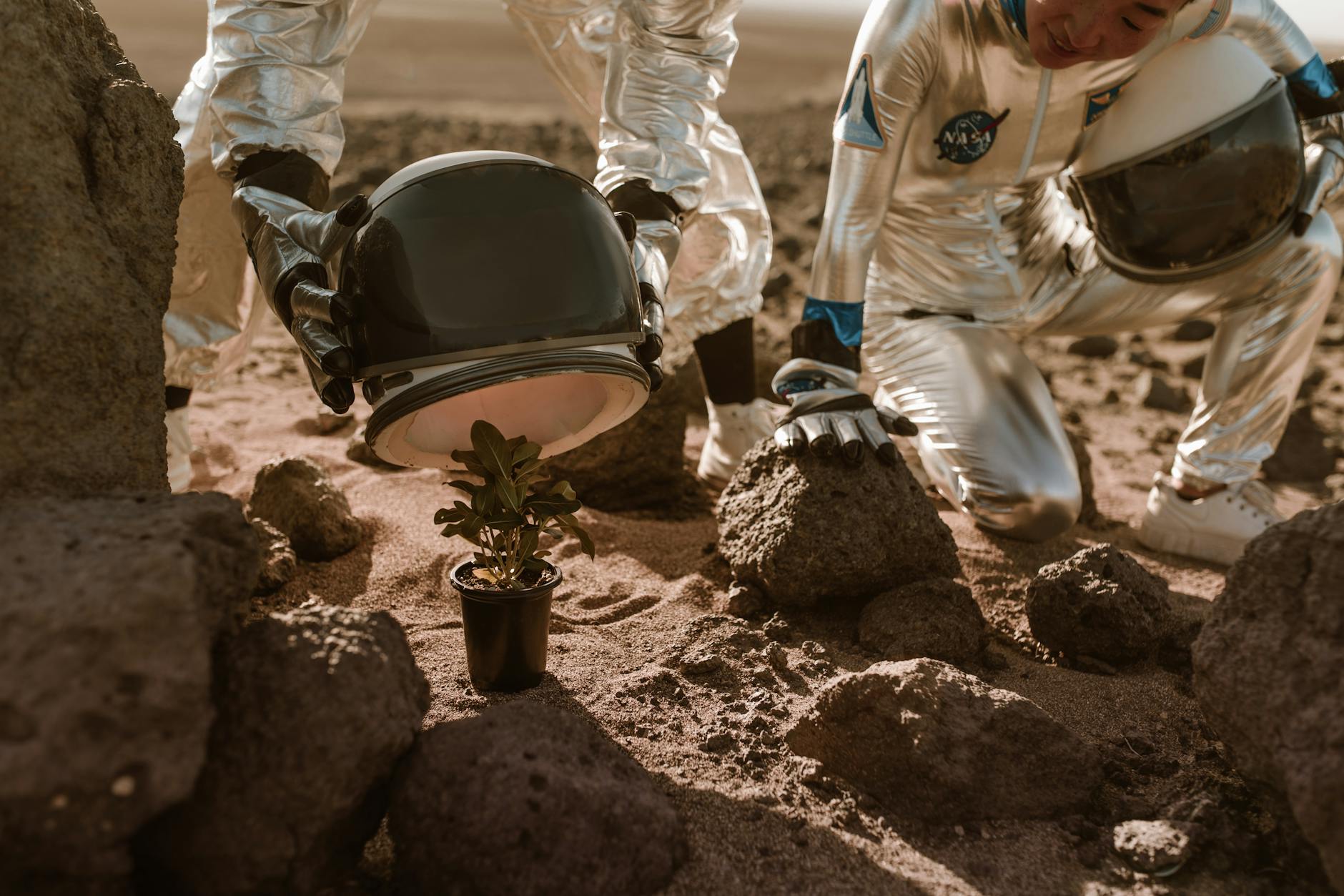 astronaut putting helmet on a plant, Alien Hope
